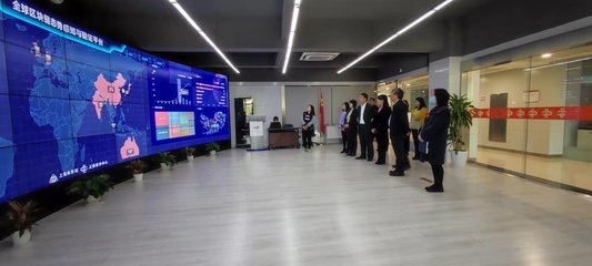 蔡佳丽副区长率队赴上海开展区块链技术招商考察，助力区域数字经济发展